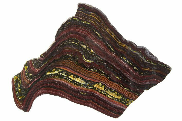 Polished Tiger Iron Stromatolite Slab - Billion Years #351881